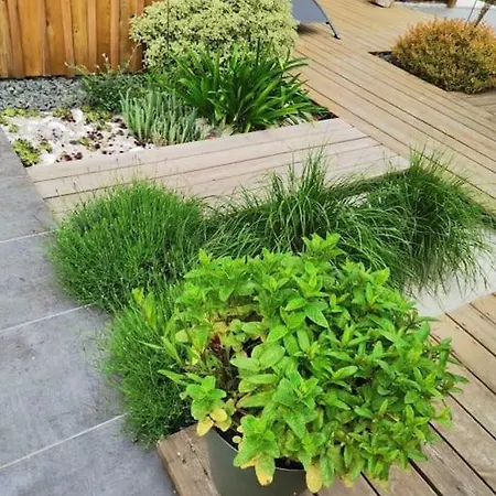 T2 Sur Le Jardin 오덴쥐